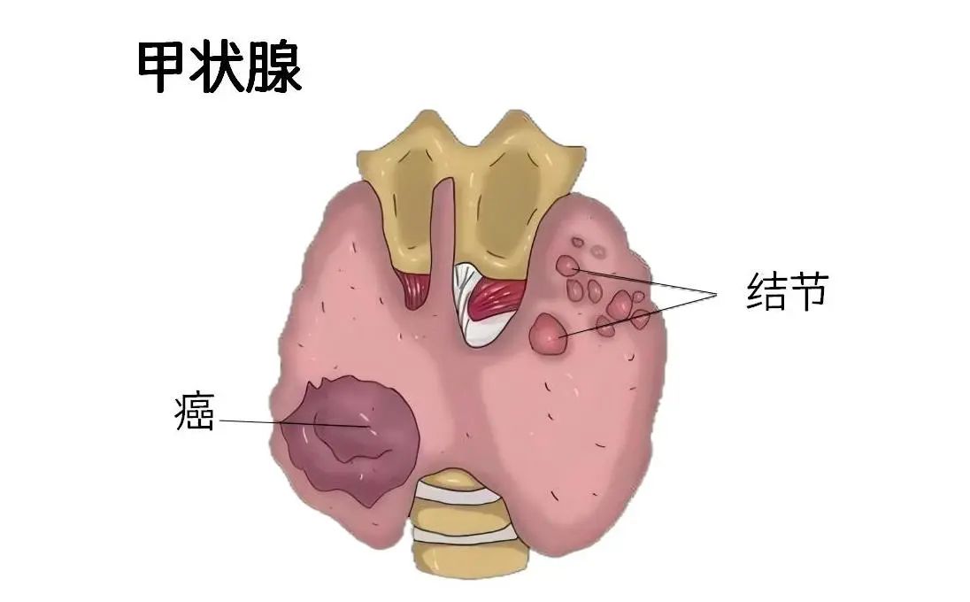 微信图片_20250429094941.jpg 微信图片_20250429094941.jpg