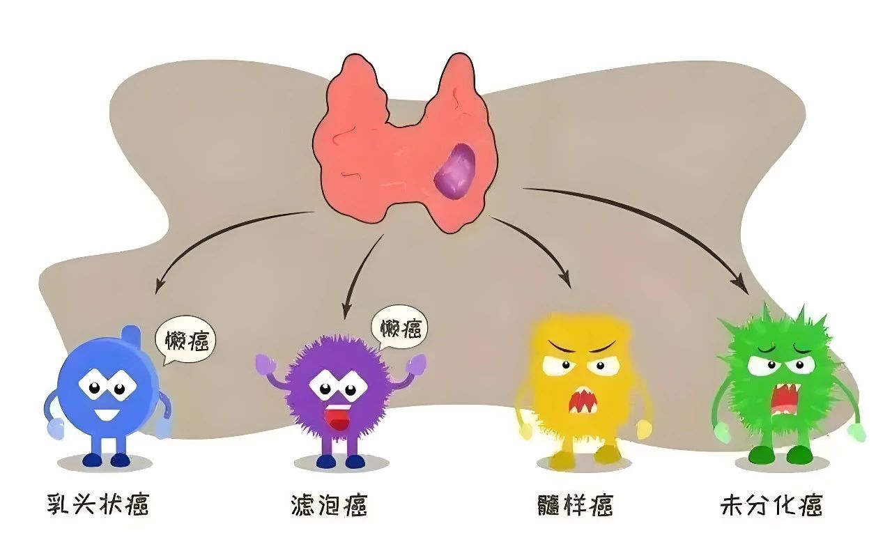 微信图片_20250429094946.jpg 微信图片_20250429094946.jpg