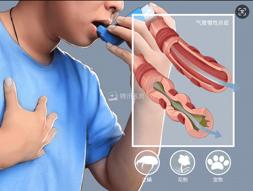 QQ20250502-101815.jpg QQ20250502-101815.jpg