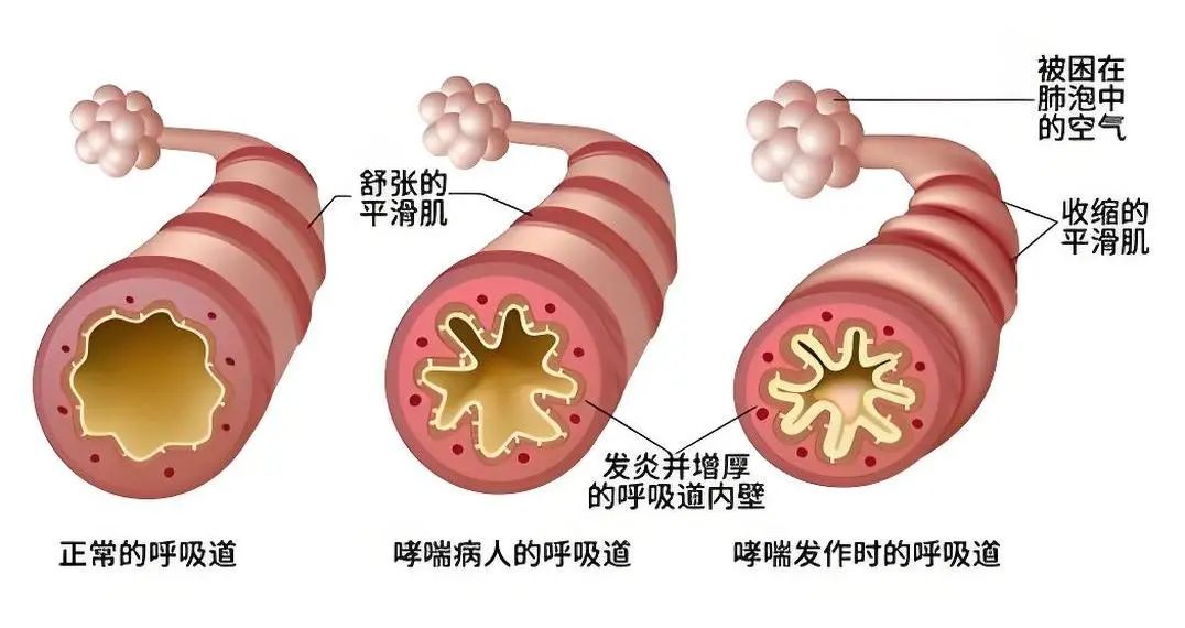 微信图片_20250502103525.jpg 微信图片_20250502103525.jpg