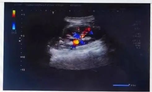 微信图片_20250504190205.jpg 微信图片_20250504190205.jpg