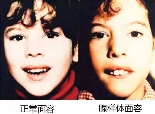 微信图片_20250518155422.png 微信图片_20250518155422.png