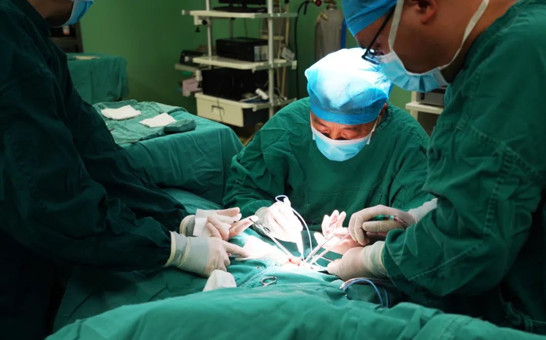 微信图片_20250707151951.jpg 微信图片_20250707151951.jpg