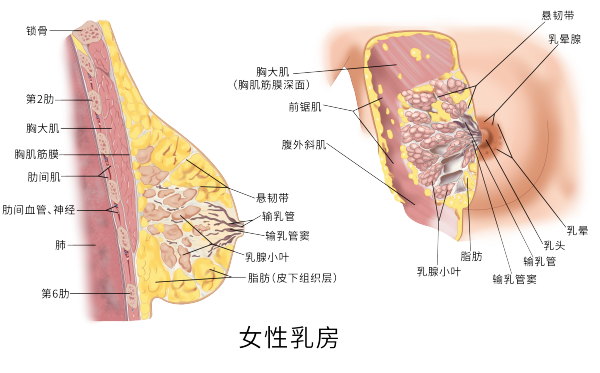 微信图片_20250707151959.png 微信图片_20250707151959.png